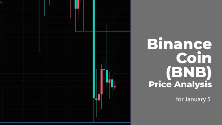 Binance Coin (BNB) Price Analysis for January 5