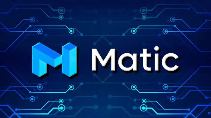 Seven New Stakers Occurred on MATIC Network, but There Is Catch: It's All Owned by One Entity
