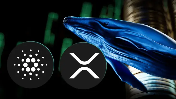 ADA, XRP: Insane Whale Activity, Drives Trading Volume Through Roof