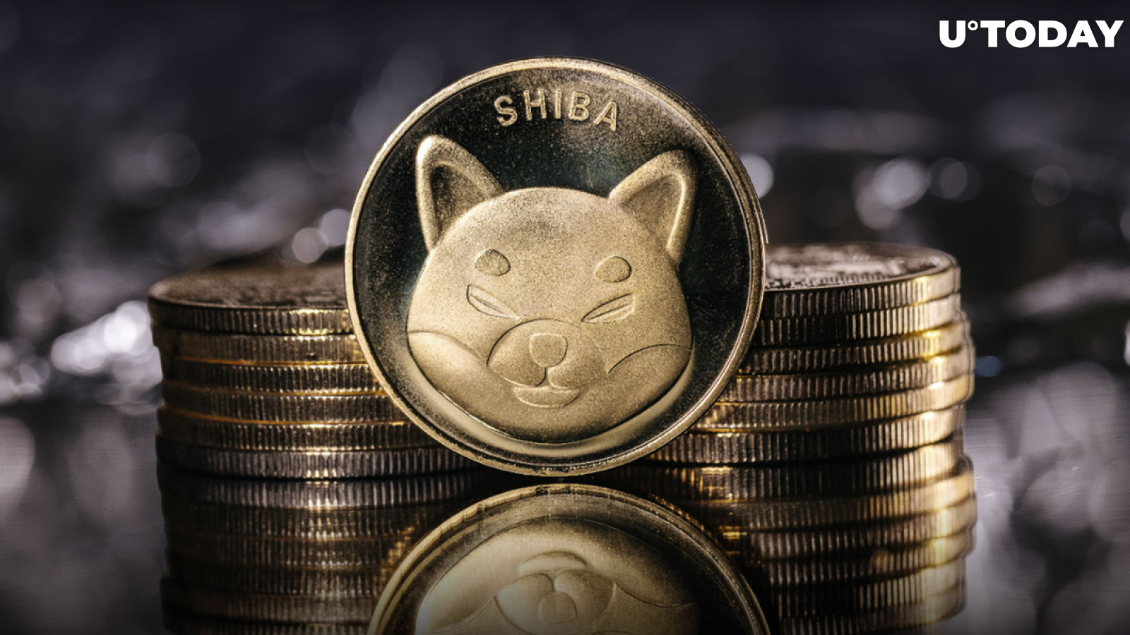 "SHIB Needs 10,000 Years To Hit $1," Shiba Inu Holder Says, Here's Why