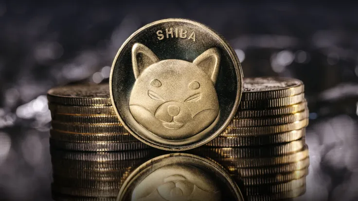 "SHIB Needs 10,000 Years To Hit $1," Shiba Inu Holder Says, Here's Why