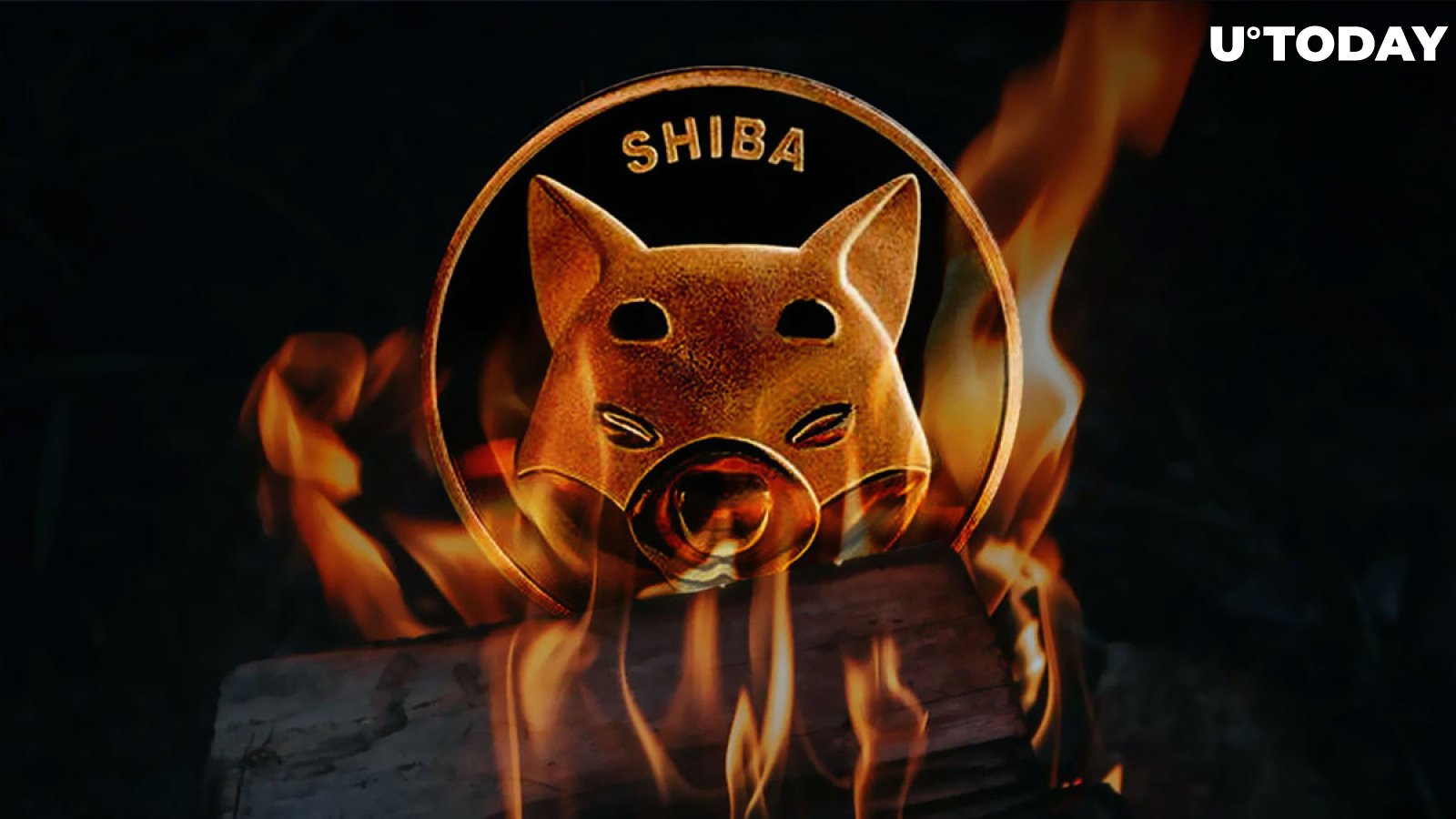 Shiba Inu (SHIB) Burn Rate Jumps 1,395% with Over Half Billion Burned, Here's What Happened