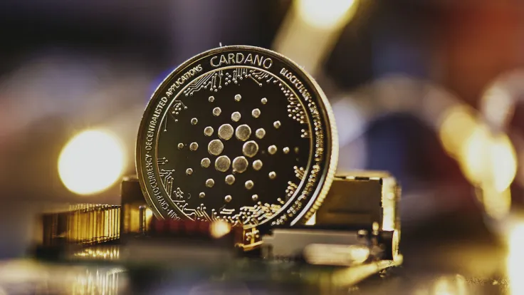 Cardano's Key Ecosystem Metric up 30% in 2023, Here's What You Should Know