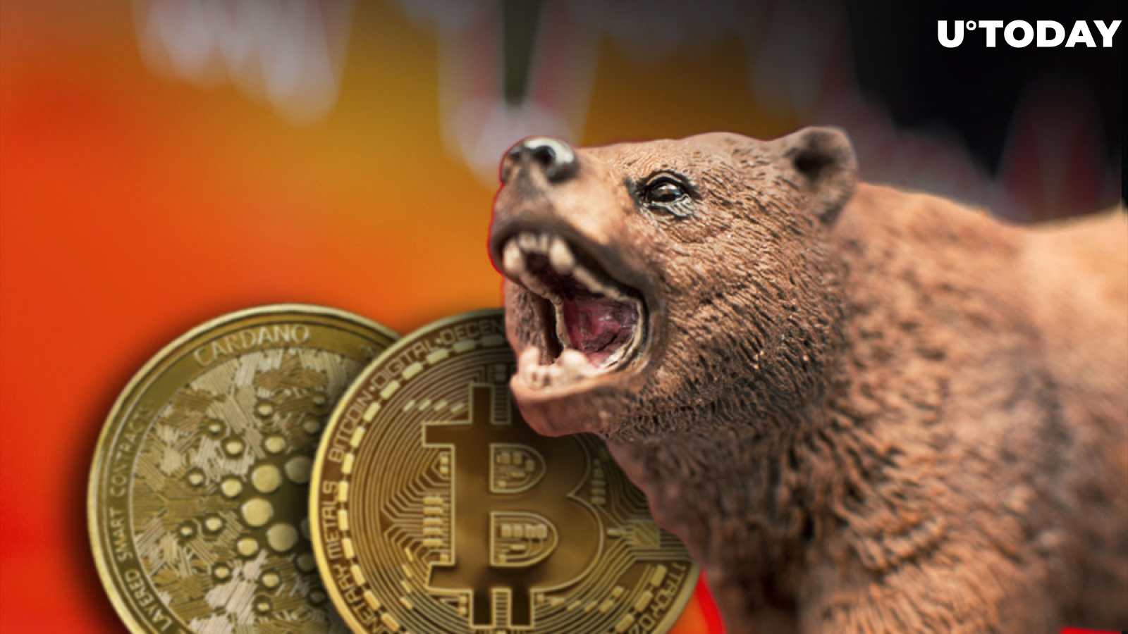 Bitcoin (BTC), Cardano (ADA): Crypto Capital Founder Predicts Bulls' Return Based on This One Thing