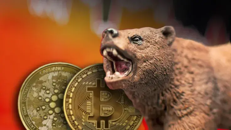 Bitcoin (BTC), Cardano (ADA): Crypto Capital Founder Predicts Bulls' Return Based on This One Thing