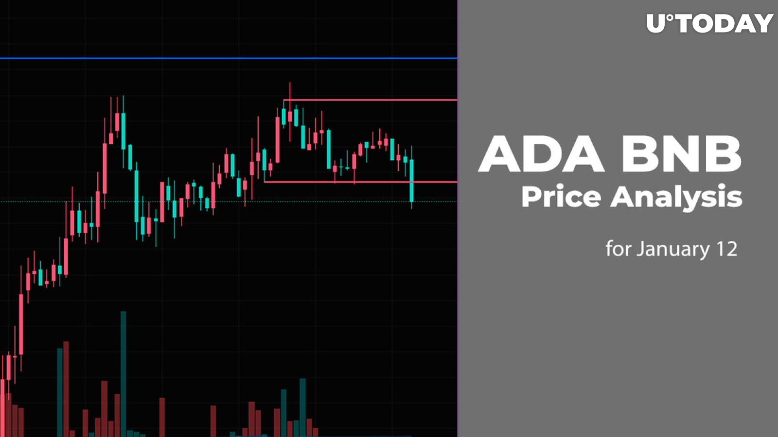 ADA and BNB Price Analysis for January 12