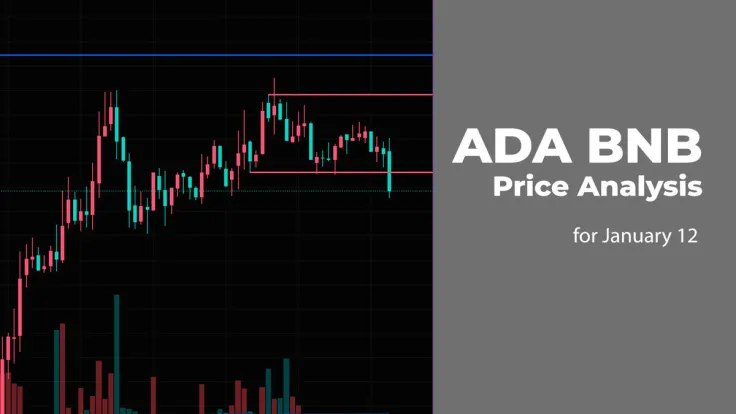 ADA and BNB Price Analysis for January 12