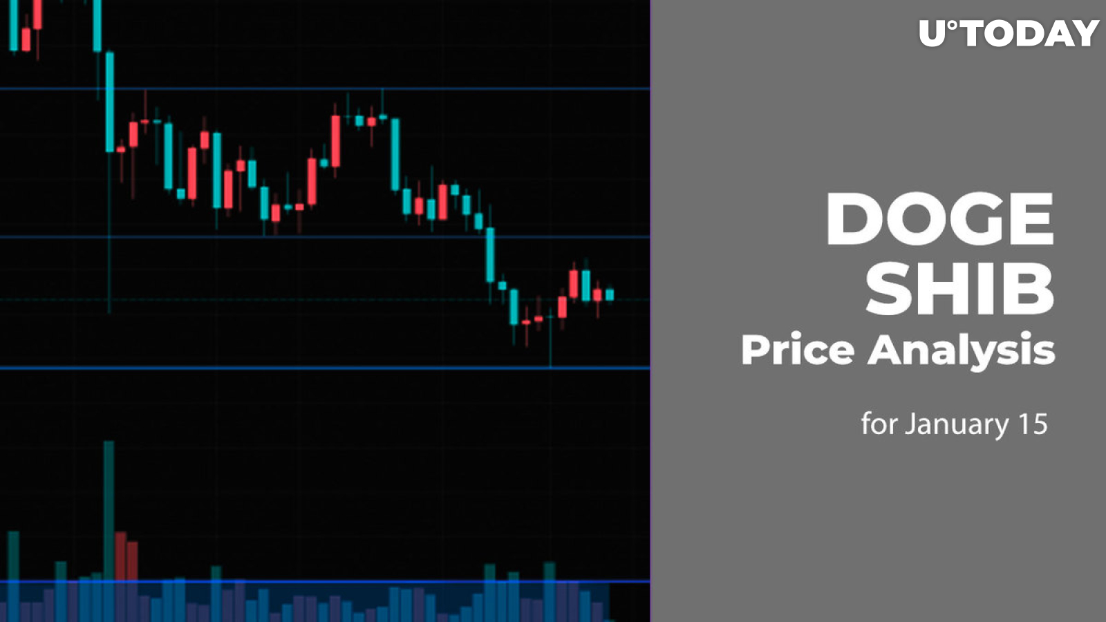 DOGE and SHIB Price Analysis for January 15