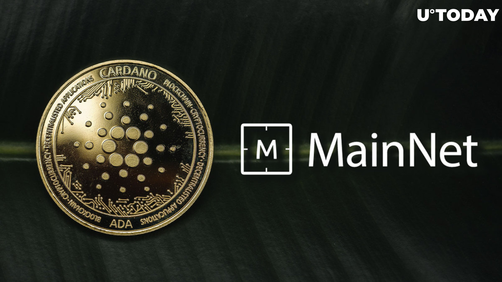 Cardano's Djed Stablecoin Launch in Mainnet Is Near, ADA Contributor Assumes