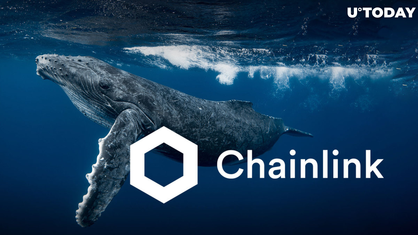 Are Whales Pushing Chainlink (LINK) Upward? Here's What Data Shows