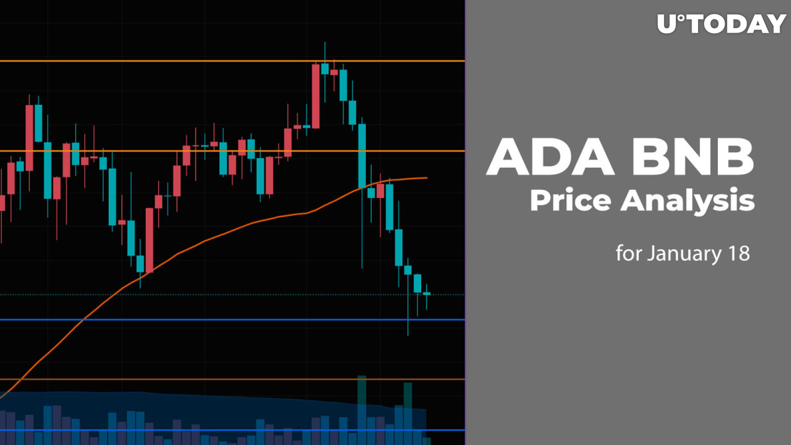 ADA and BNB Price Analysis for January 18