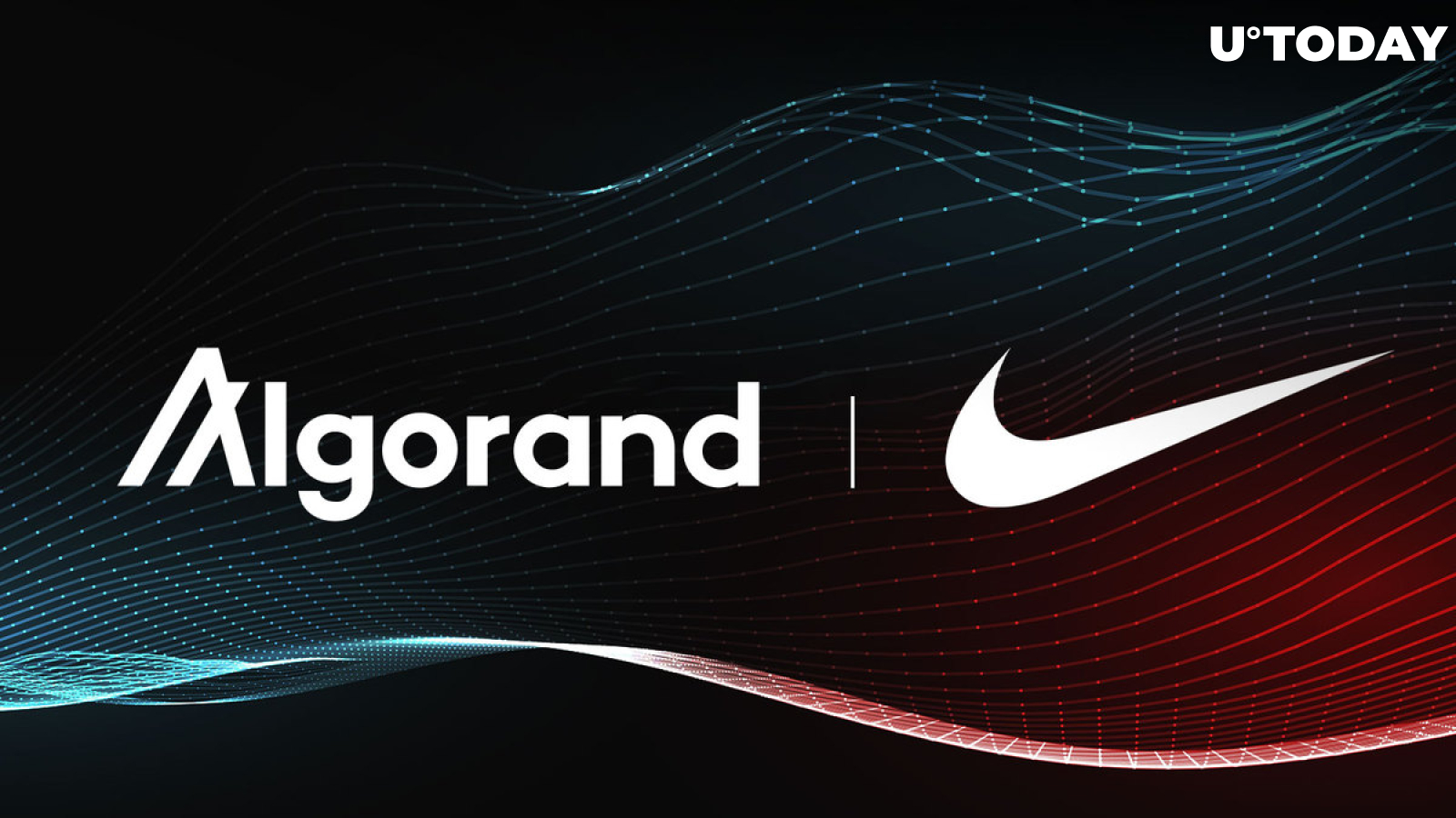 Algorand CEO Debunks Nike Partnership: Details