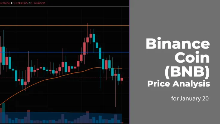 Binance Coin (BNB) Price Analysis for January 20