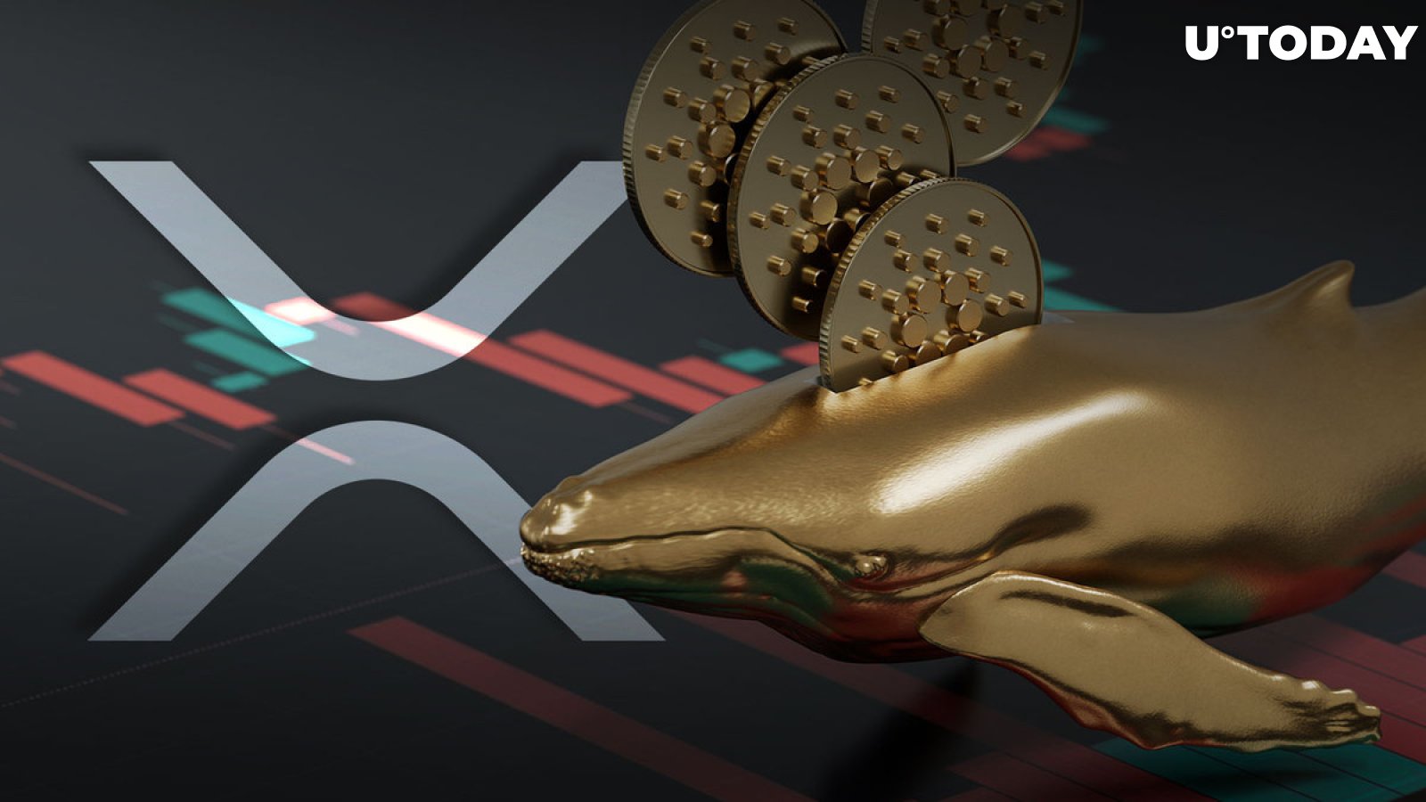 XRP Flips Cardano (ADA) for Most Traded Among Whales, Here's What Is Going On