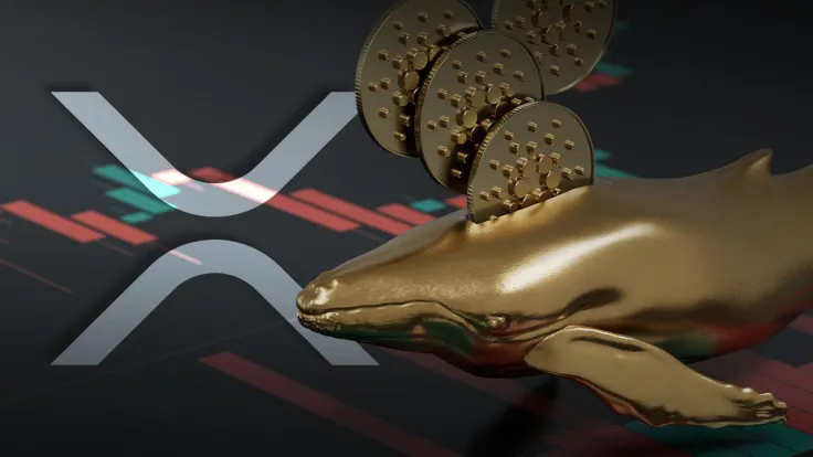 XRP Flips Cardano (ADA) for Most Traded Among Whales, Here's What Is Going On