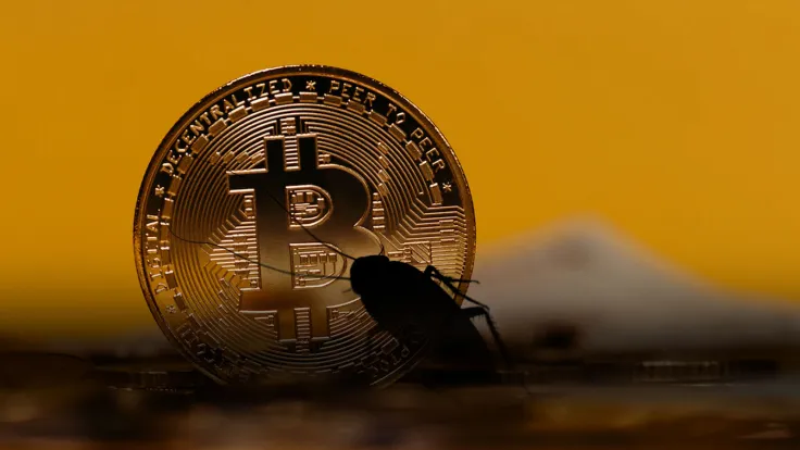 Prominent Tesla Investor Compares Bitcoin to Cockroach