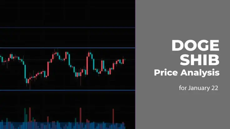 DOGE and SHIB Price Analysis for January 22