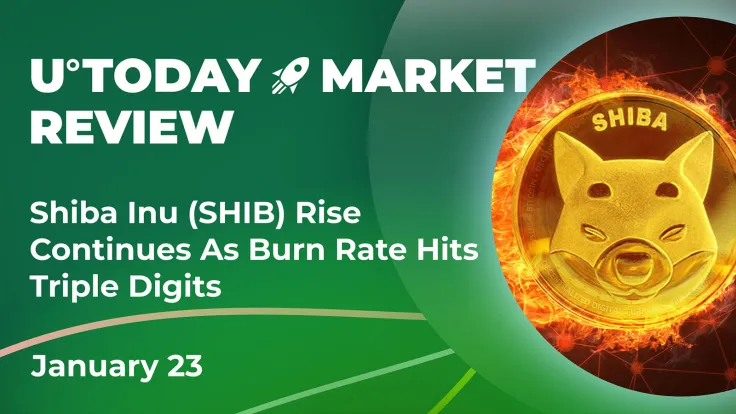 Shiba Inu (SHIB) Rise Continues as Burn Rate Hits Triple Digits: Crypto Market Review, Jan. 23