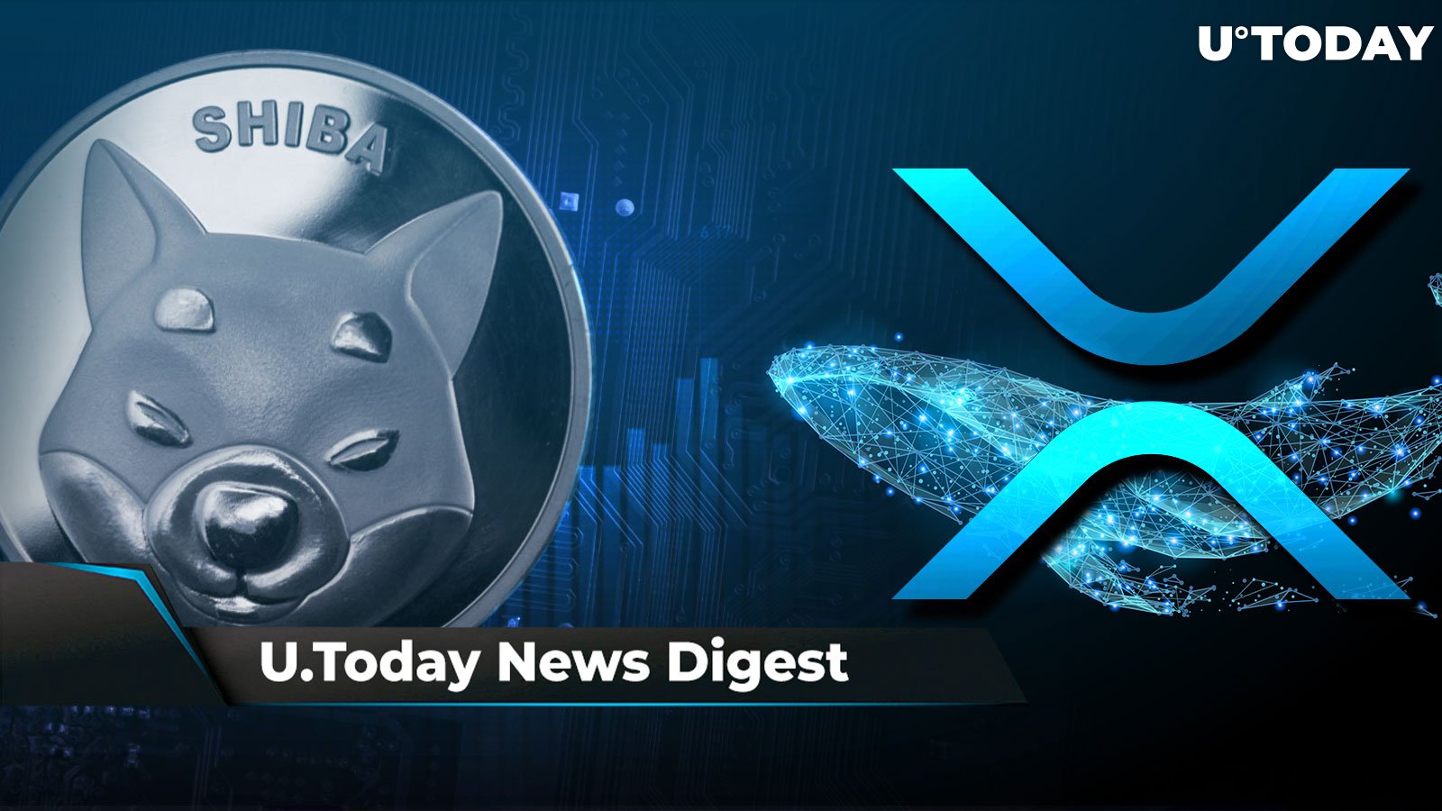 SHIB Takes over Dubai with Welly Burger Joint, XRP Soars, Whales Move 336 Million XRP, If SHIB Hits $0.01, David Gokhshtein Might Do This: Crypto News Digest by U.Today