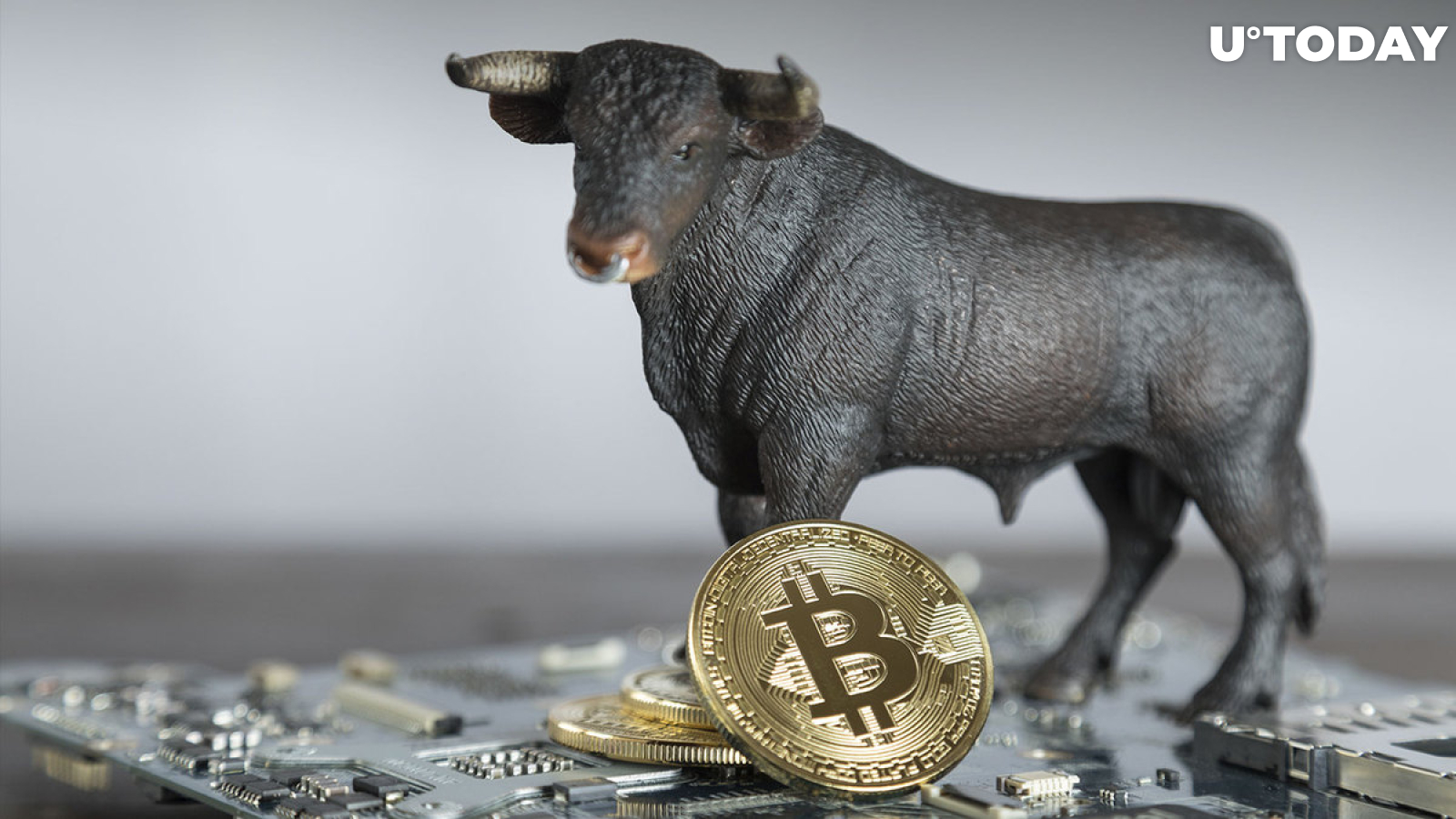 Bitcoin (BTC) Now in Bull Phase, Here's Why: CryptoQuant CEO