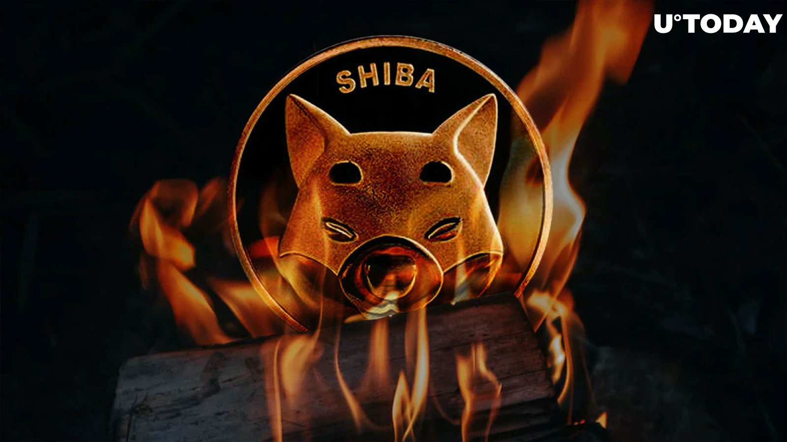 Trillions of Shiba Inu Wired Despite Massive Drop in SHIB Burn Rate