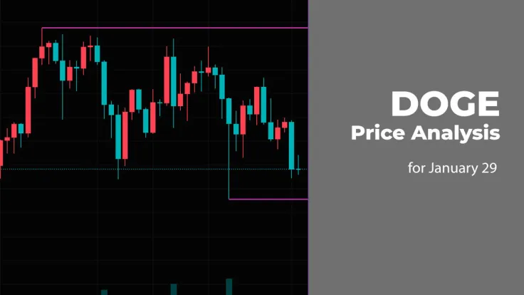 DOGE Price Analysis for January 29
