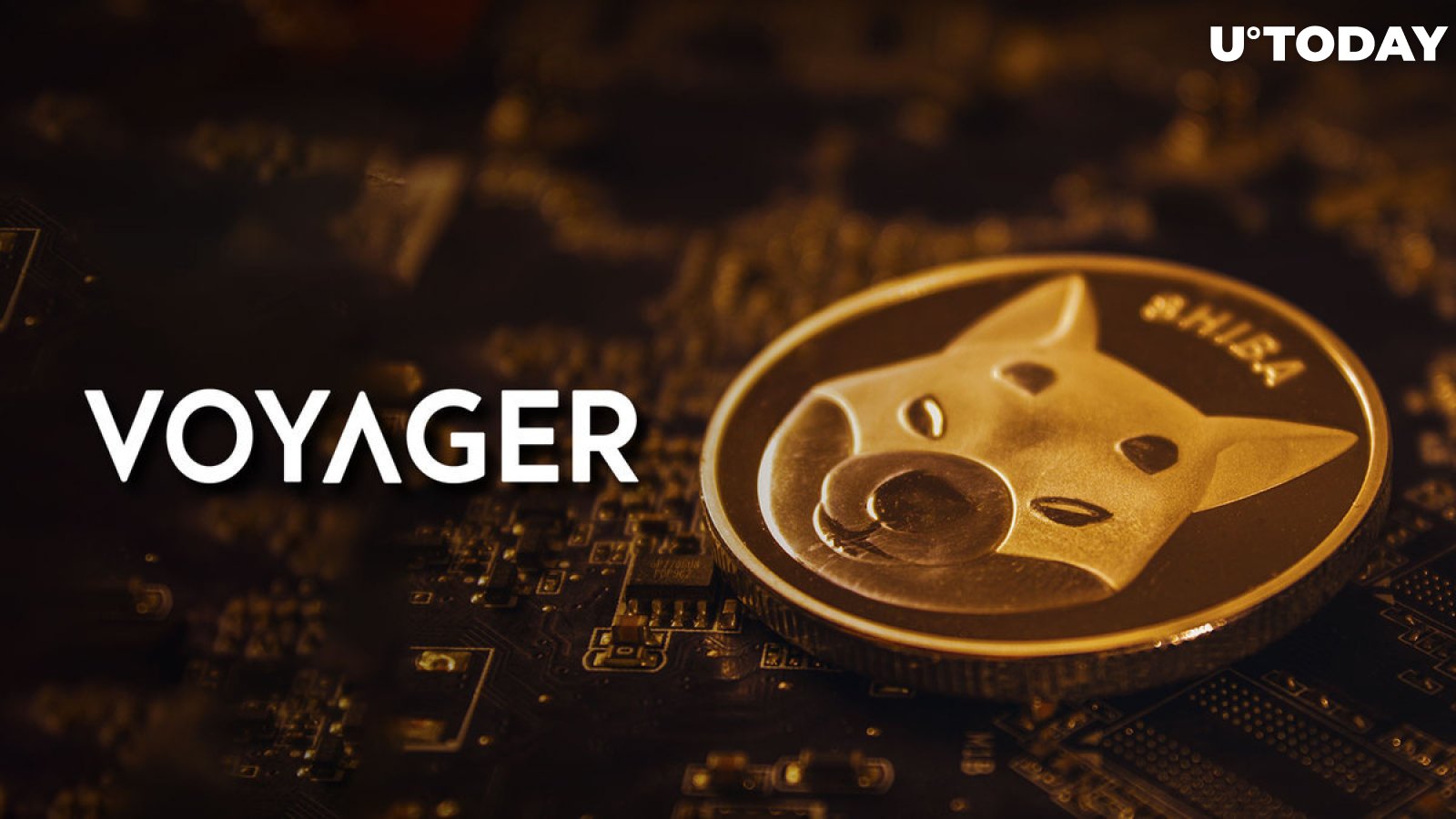 270 Billion SHIB Sent to Exchanges by Bankrupt Broker, Here's Shiba Inu Token Price Reaction