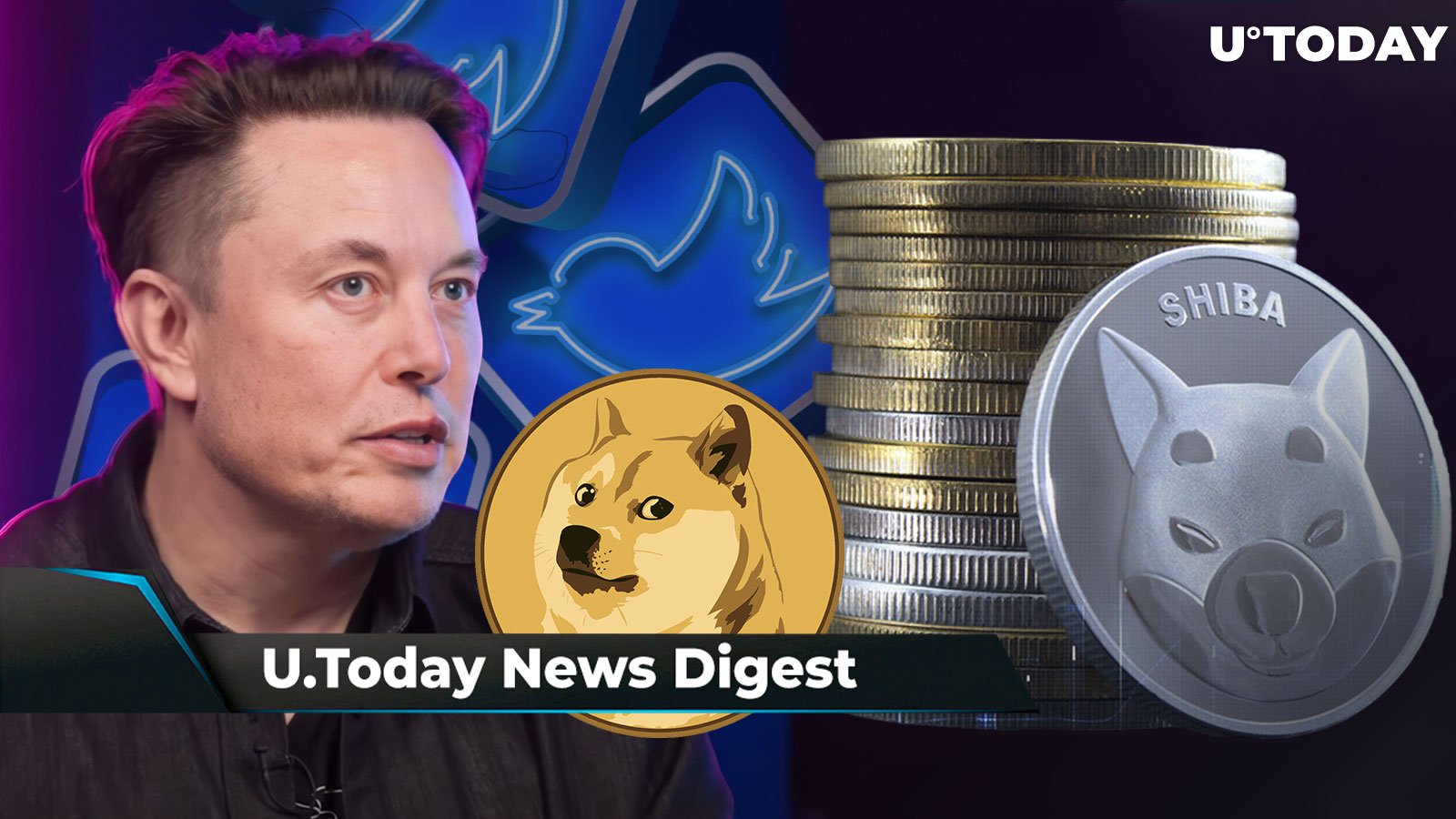 SHIB Trifecta Accepted via Prepaid Visa Cards, Michael Burry Shocks Community with One-Word Tweet, Elon Musk’s Twitter 'Slaps' DOGE Army: Crypto News Digest by U.Today
