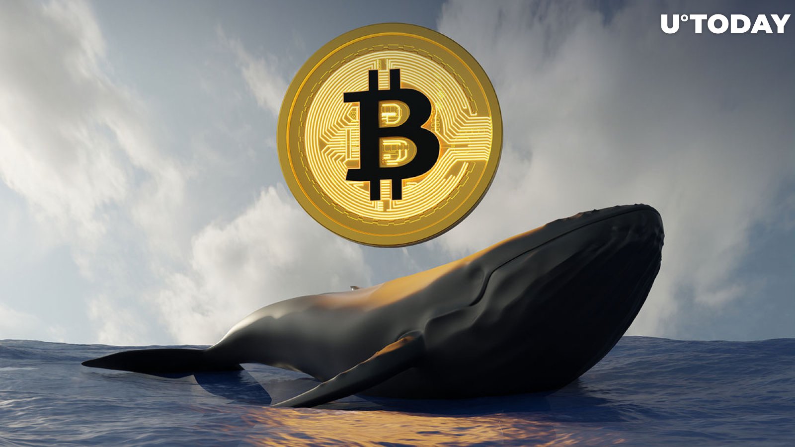 13,370 BTC Bought by This New Bitcoin Whale in One Biggest Monthly Transfer: Details