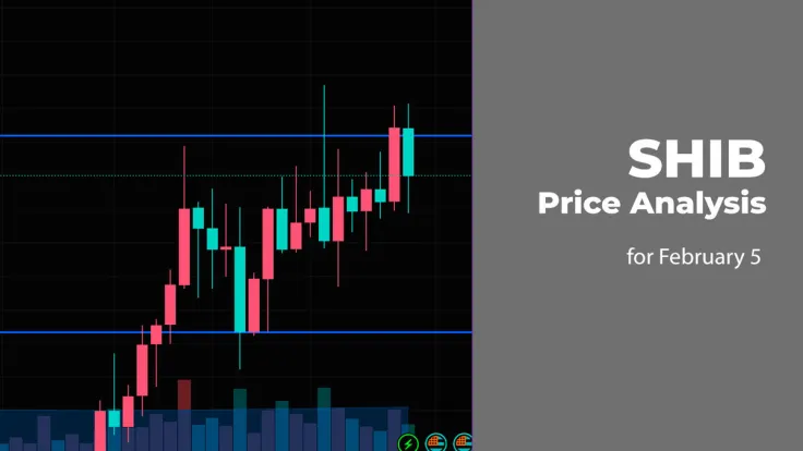 SHIB Price Analysis for February 5