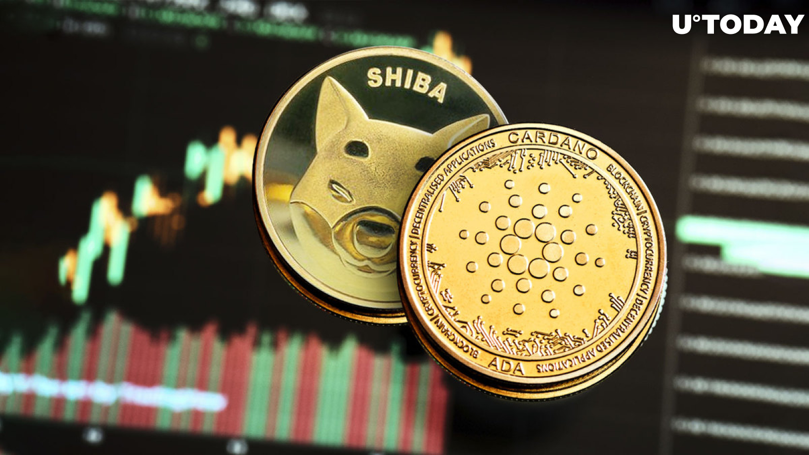 Shiba Inu (SHIB) and Cardano (ADA) Show Something You Don't Want to Miss