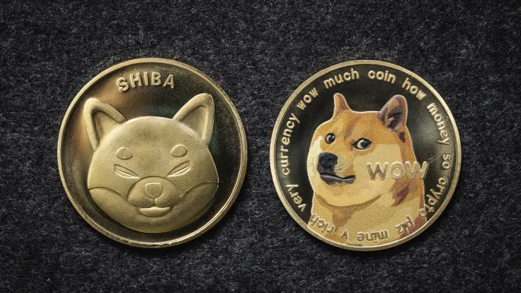 Solidity.io CEO Slams Shiba Inu (SHIB) and Dogecoin (DOGE) as 'Garbage'