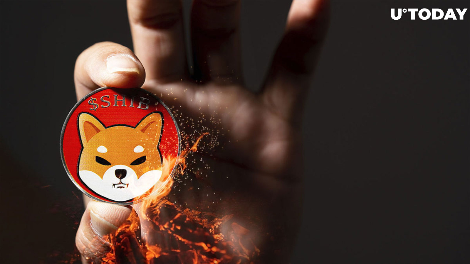 Shiba Inu (SHIB) Burn Plummets Below 1 Million Tokens as Asset Loses 15%