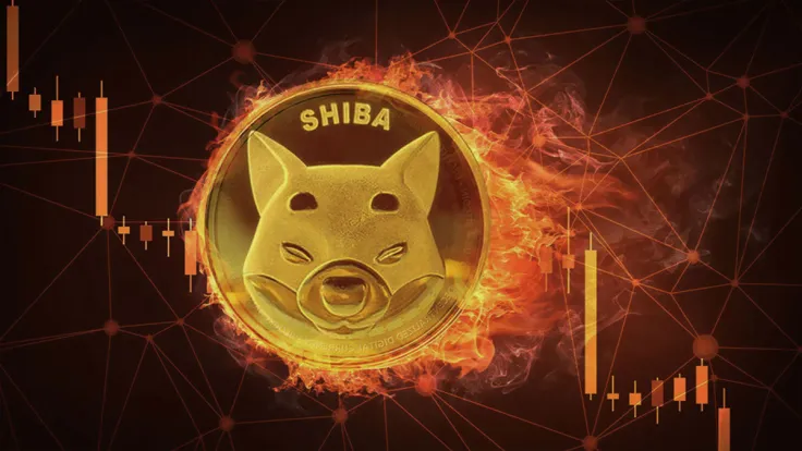 SHIB Burn Rate Sinks as Shiba Inu Price Continues to Stay in Red