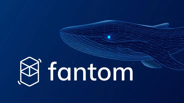 Fantom (FTM) up 11% Amid Whale Dump, Here's Reason