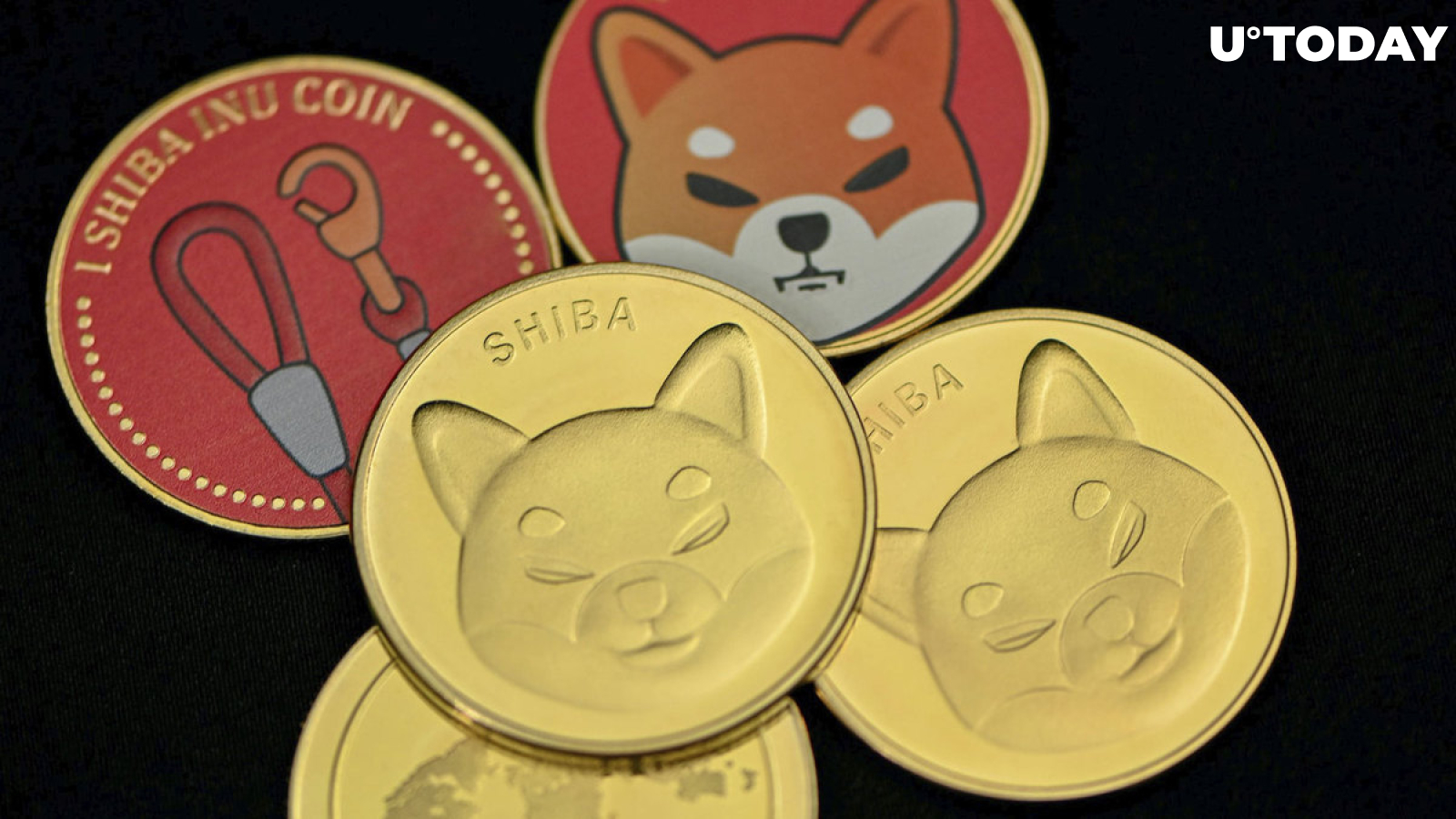 Shiba Inu's LEASH and BONE Prices Go up Again, Here's Where They Could Aim