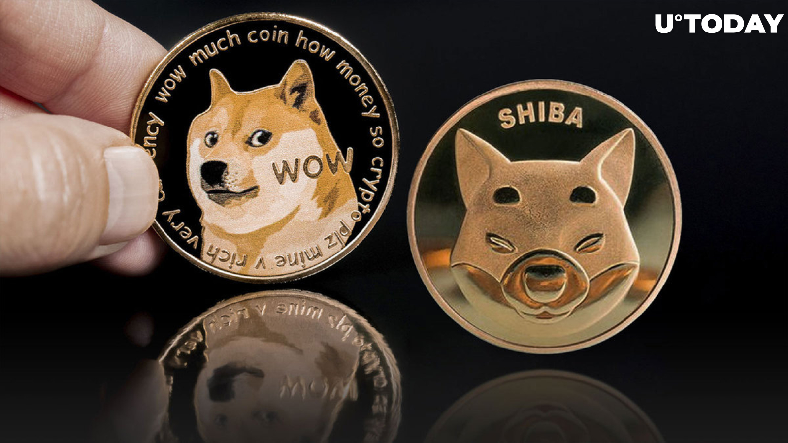 Shiba Inu (SHIB) vs Dogecoin (DOGE) Rise Probably Over, Here's Why