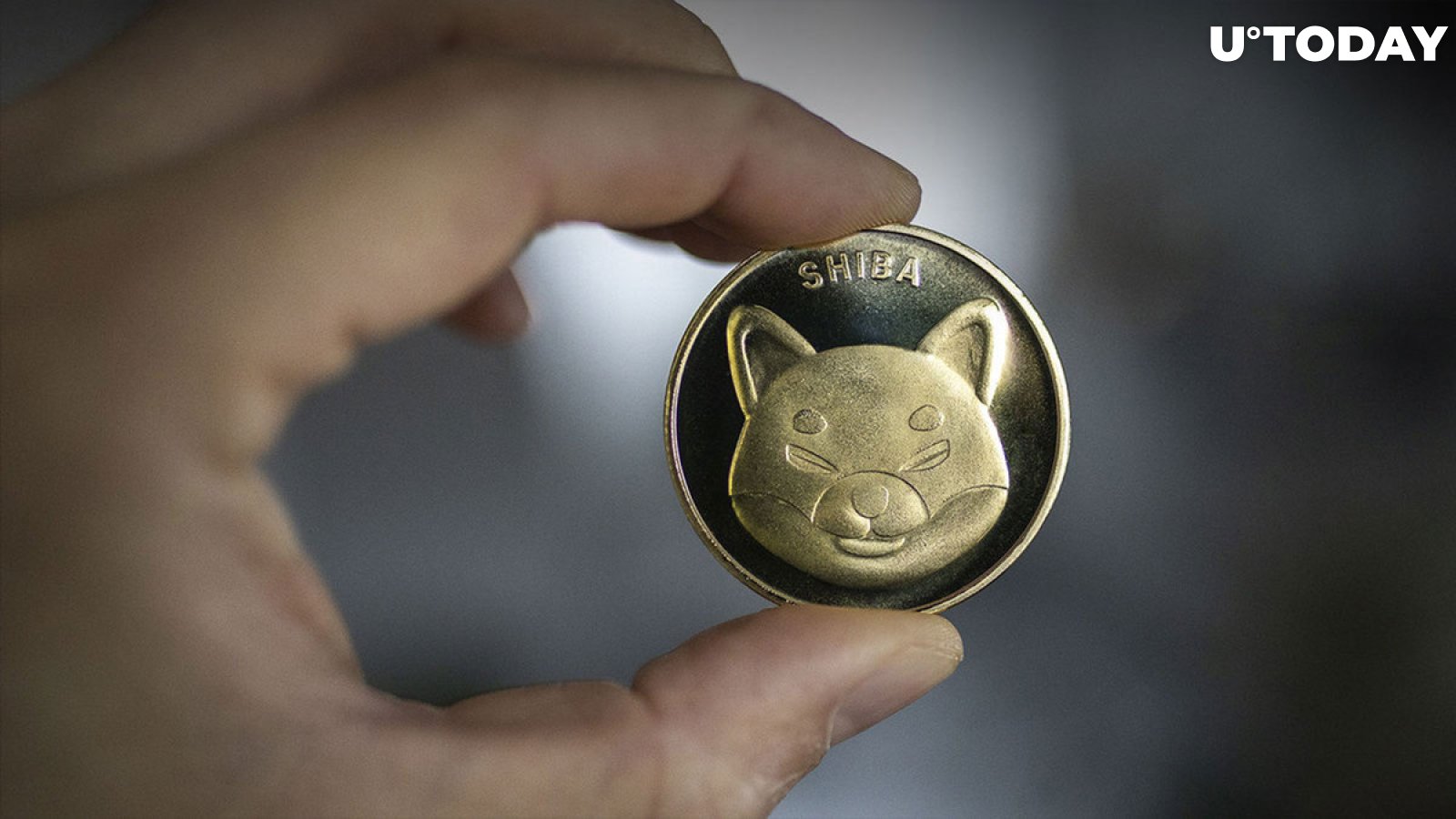 Speculative Shiba Inu (SHIB) Traders Are Dropping Their Holdings, 65% of Holders Are Long Term