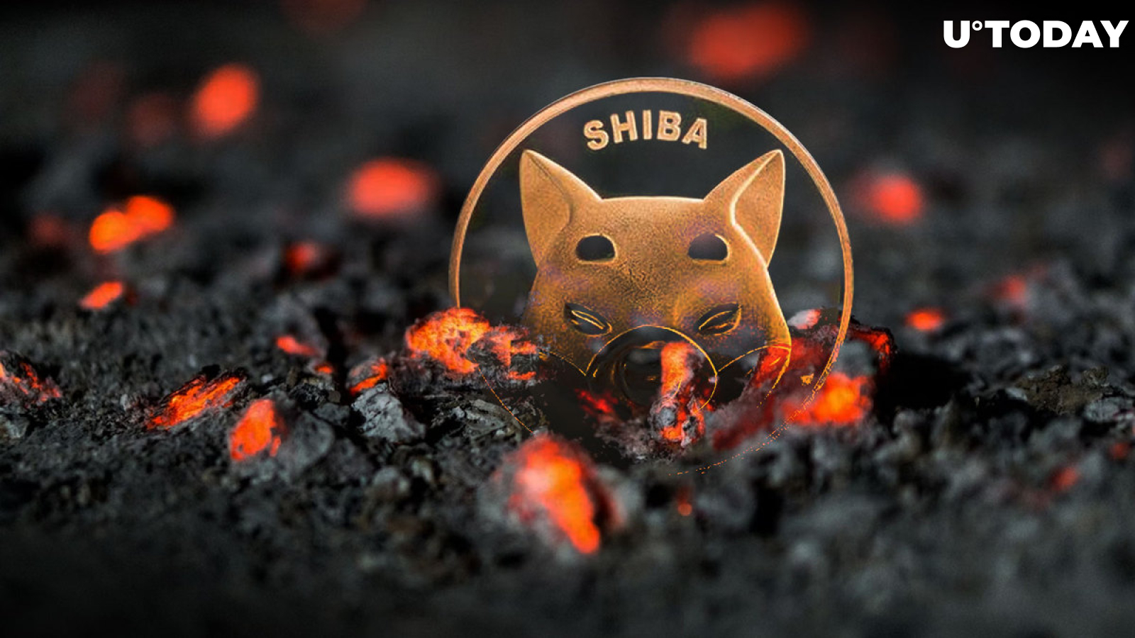 SHIB Burn Rate Drops Below Zero, Here's What's Happening