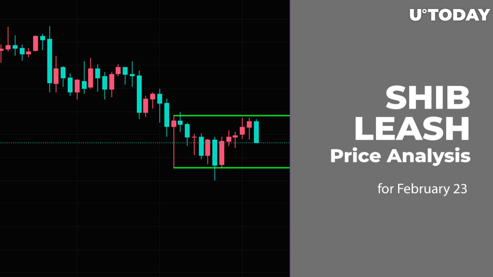 SHIB and LEASH Price Analysis for February 23