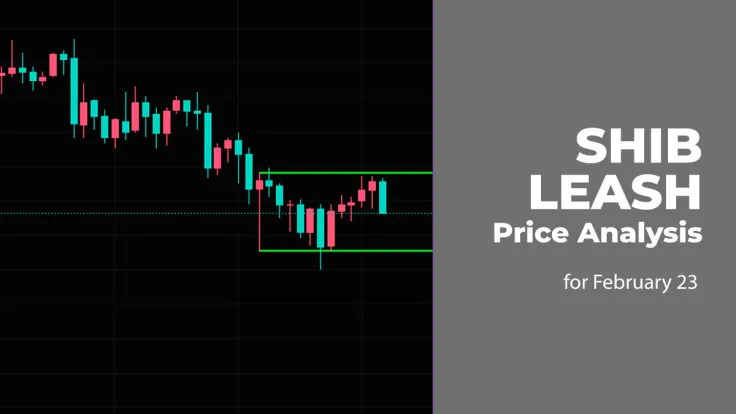 SHIB and LEASH Price Analysis for February 23