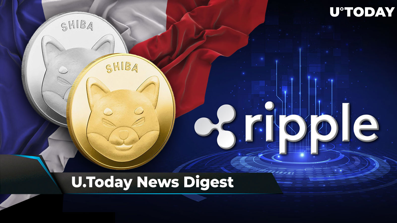 Ripple May 'Walk Through Door and Slam It Shut,' Blockchain Dev API Supports Shibarium, SHIB Payments Accepted at Retail Stores in France: Crypto News Digest by U.Today