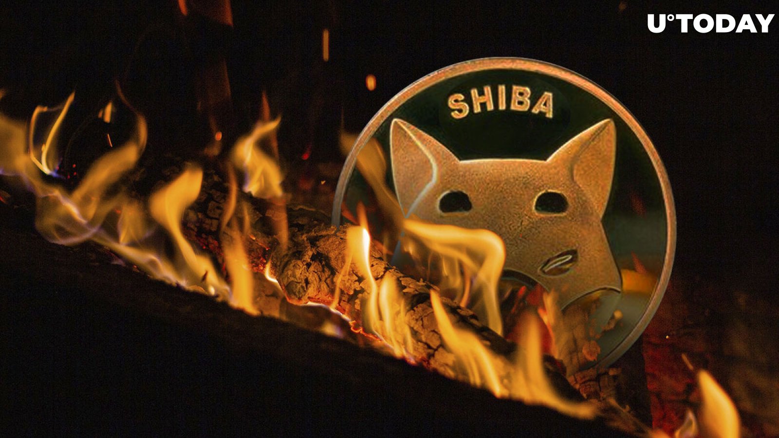 Shiba Inu (SHIB) Burn Rate Continues to Decline, Here's What May Be Keeping It Down