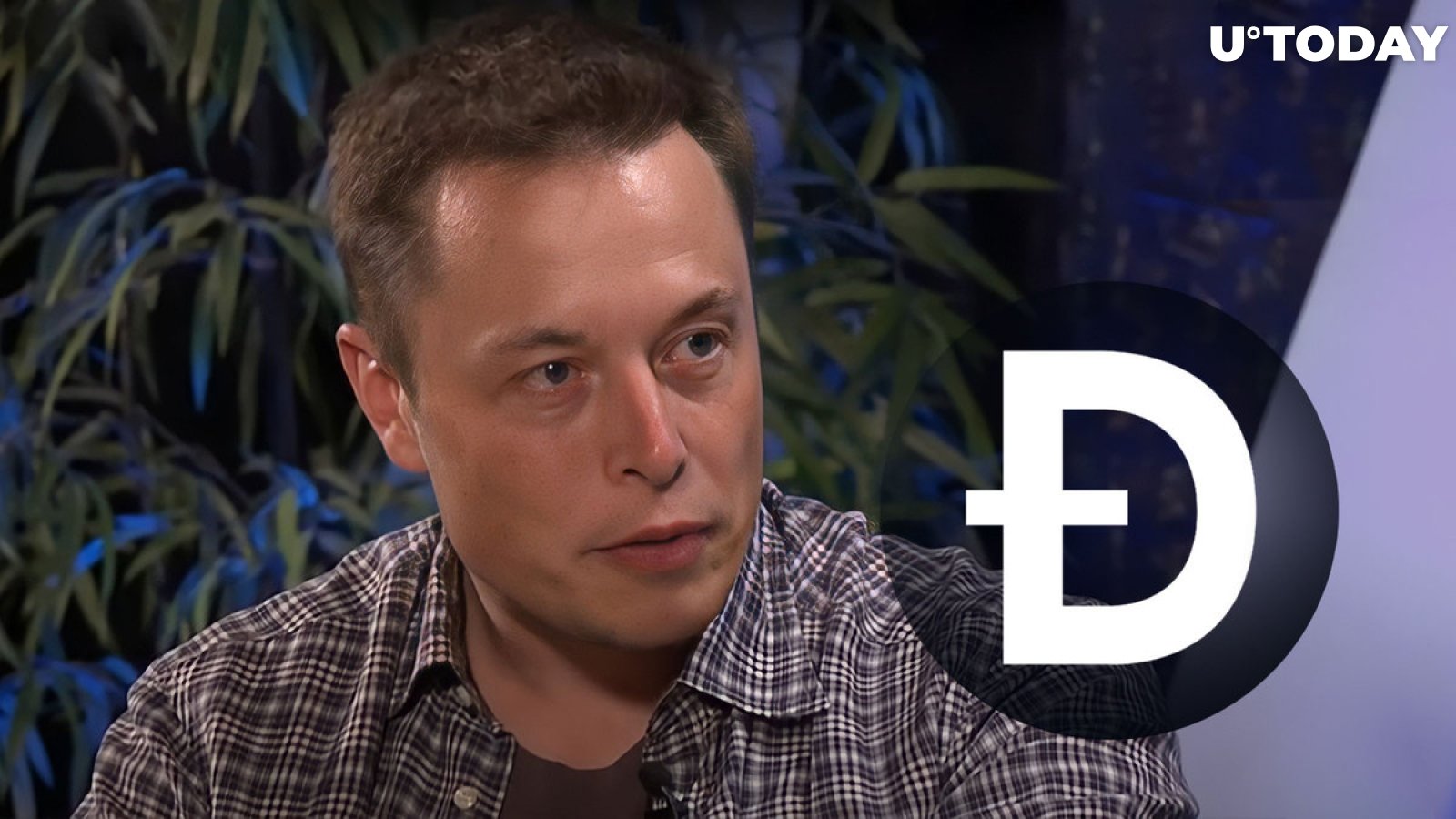 Elon Musk Angry With Dogecoin (DOGE) Creator on This Issue: Details