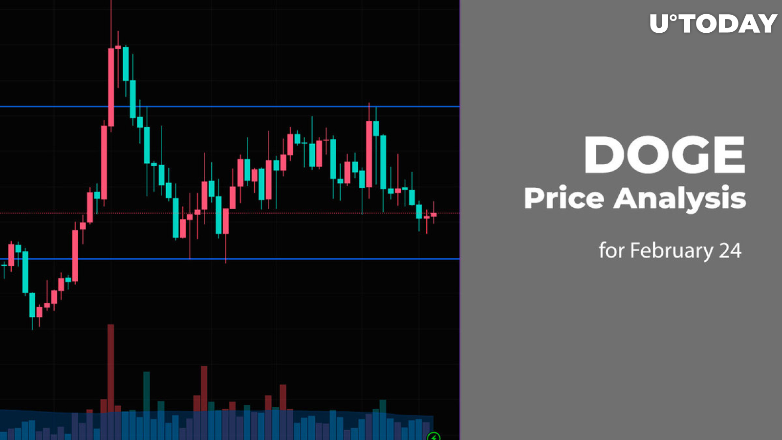 DOGE Price Analysis for February 24