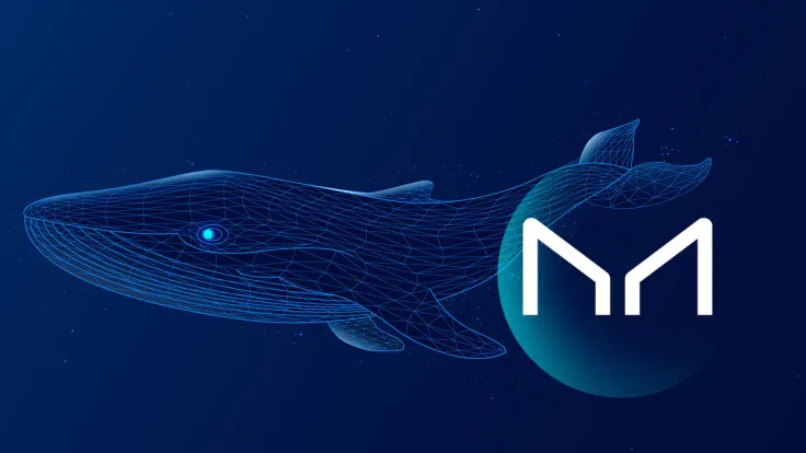 Maker (MKR) Sees Largest Whale Move in Months Following 24,300 MKR Transfer