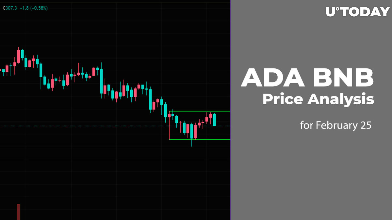 ADA and BNB Price Analysis for February 25