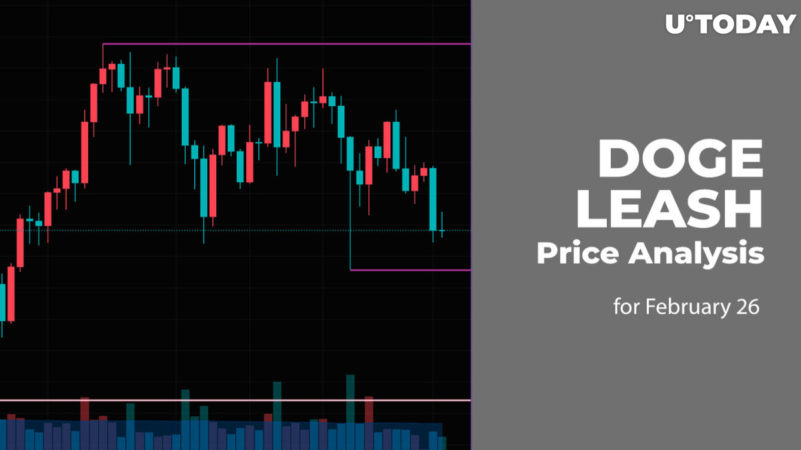 DOGE, LEASH Price Analysis for February 26