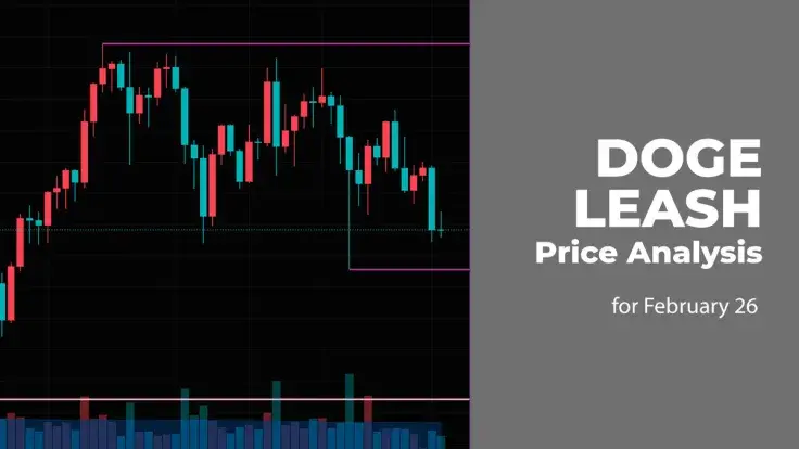 DOGE, LEASH Price Analysis for February 26