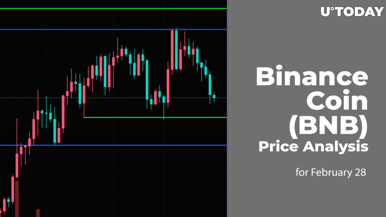 Binance Coin (BNB) Price Analysis for February 28